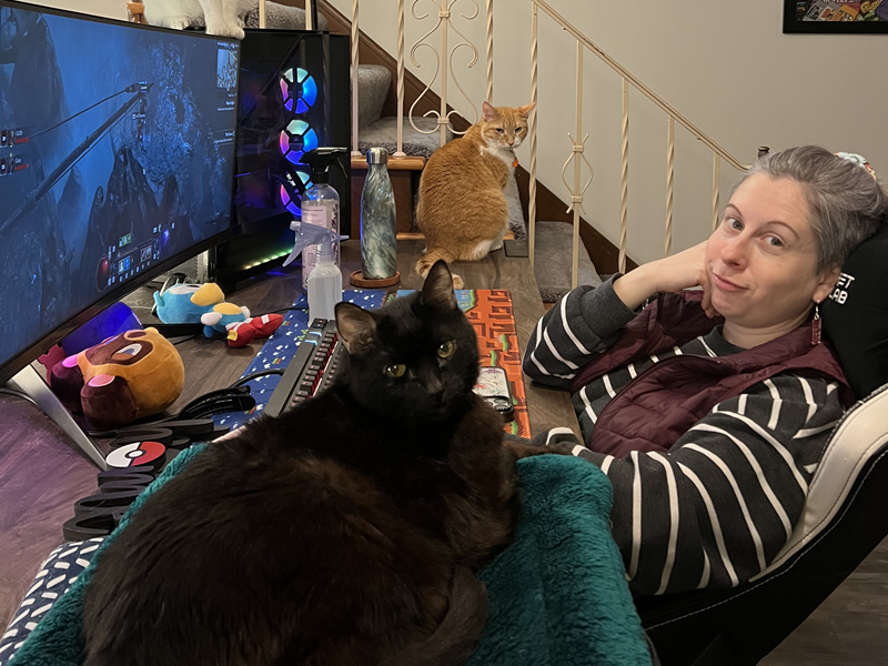 The kitties attack @pausemygame whilst working!